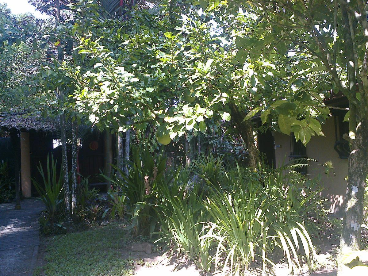 Playa Negra Guesthouse Cahuita Luaran gambar